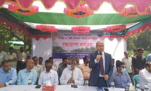 Inauguration of Road Department Tree Plantation Program in Chapainawabganj